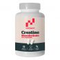 CREATINA MONOHIDRATO COMPRIMIDOS