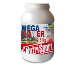 Mega Power 2500